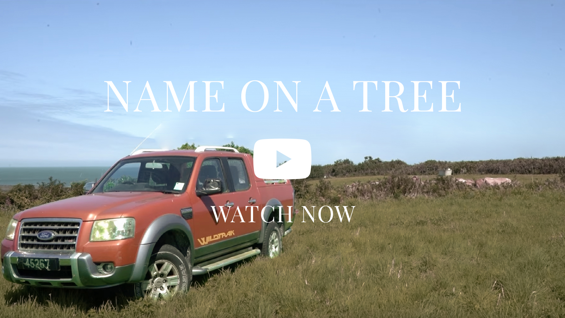 Rachel Dawson Name on a Tree Video Placeholder